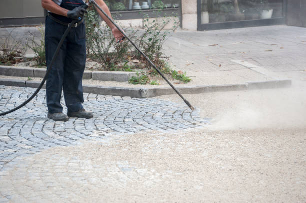 Animal Enclosure Cleaning in Lincoln Park, NY