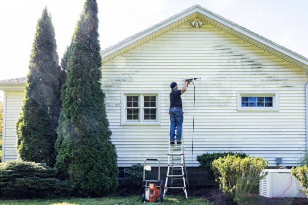 Lincoln Park, NY Pressure Washing Services Company